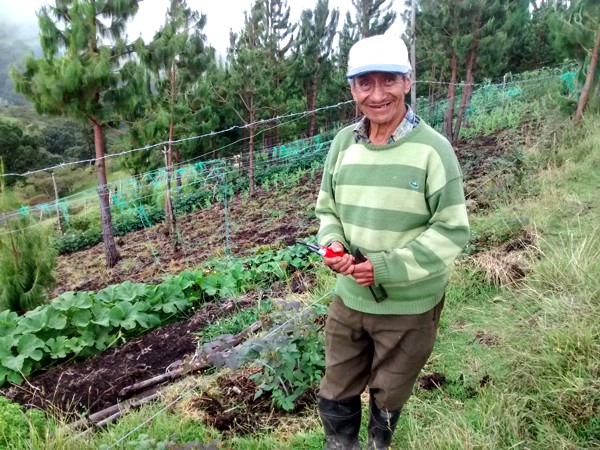 Caficultor-del-Cauca.jpg