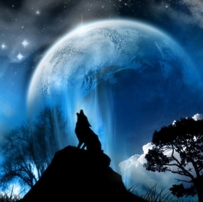 La-noche-Lobo1.jpg