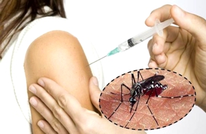 Vacuna contra el Dengue Vacuna contra el Dengue