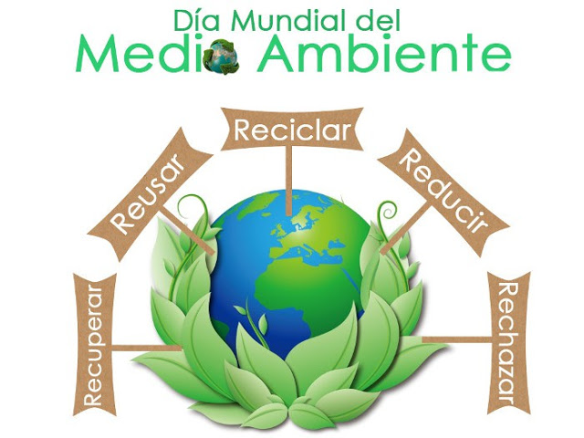 medio-ambiente-02-1