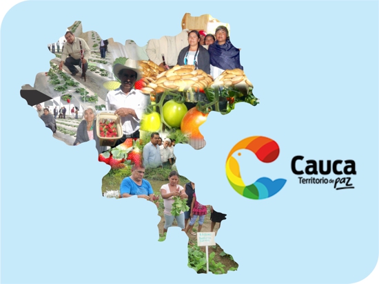Cauca territorio de paz - Proyectos productivos