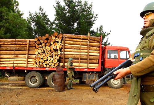 Robo de madera en Cauca