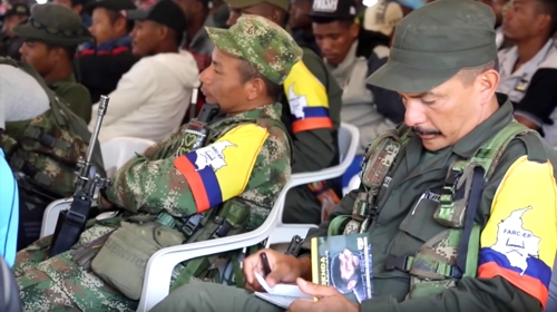 Las Farc deciden Las Farc deciden