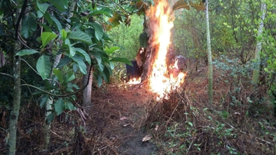 Destruyen-laboratorio-de-coca-en-Almaguer-Cauca1.jpg