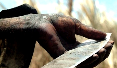 Machete.jpg