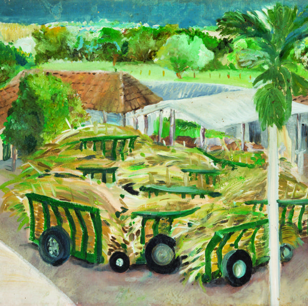 El-Corozal-Trapiche-enero.jpg
