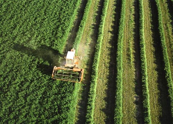 agro-brasil.jpg