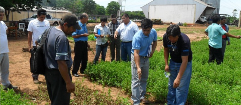 cooperativa-agricolas.jpg