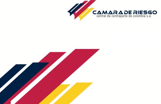 camara-riesgo.jpg