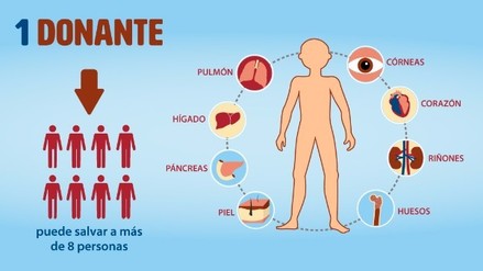 Donacion_organos.jpg