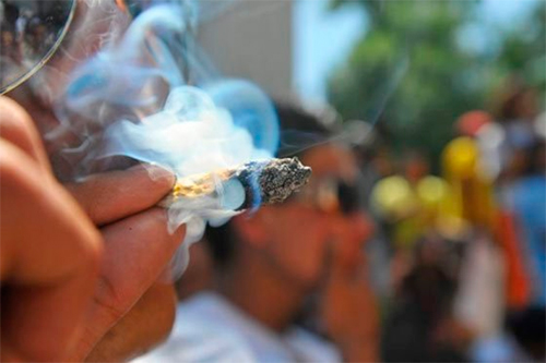 Marihuana.jpg