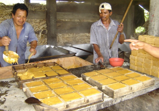 En-el-Cauca-se-produce-panela-de-calidad.jpg