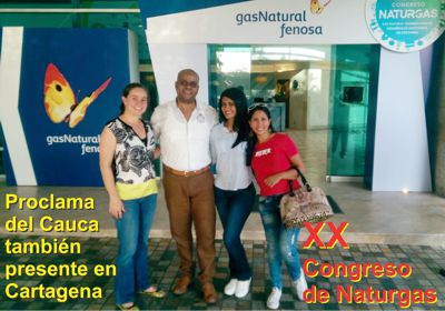 Naturgas.jpg