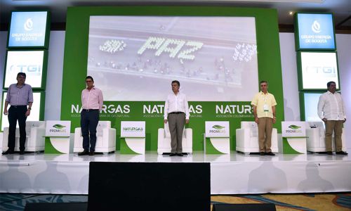 XX-Congreso-de-Naturgas-4.jpg