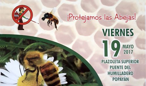 abejas 2
