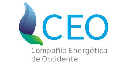 CEO 3