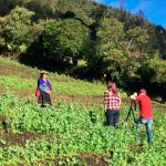 Quinua del Cauca reconocida a nivel nacional