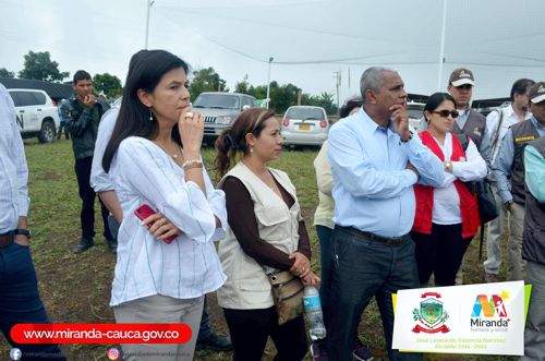 Vicecontralora