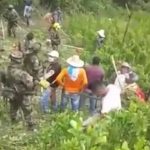 Rechazan erradicación forzada en Cajibío