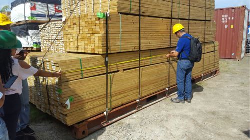 Autoridades ambientales en operativo nacional forestal Autoridades ambientales en operativo nacional forestal