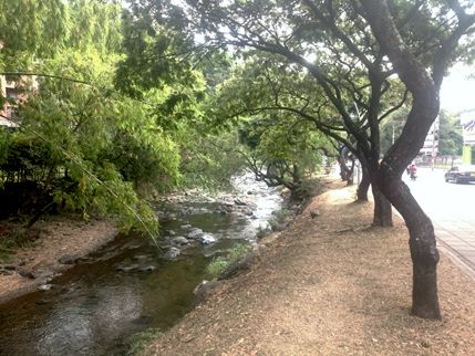 rio cali
