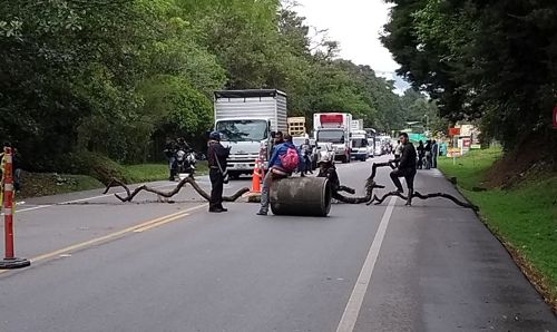 Panamericana-2.jpg