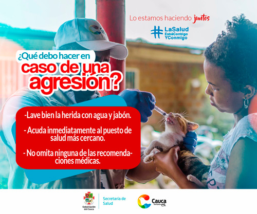 Incremento de casos positivos de rabia silvestre en el Cauca Incremento de casos positivos de rabia silvestre en el Cauca