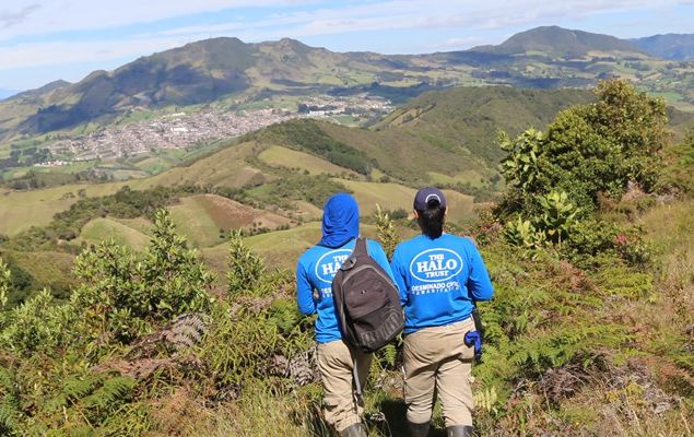 Presuntos guerrilleros impiden desminado en Miranda Presuntos guerrilleros impiden desminado en Miranda