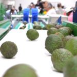 Centro de acopio en Piendamó beneficiará a 1600 familias agricultoras