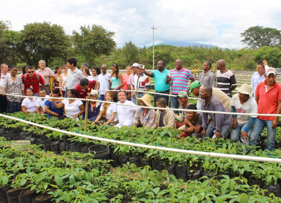 Inauguran Vivero Paraíso en Santander de Quilichao28