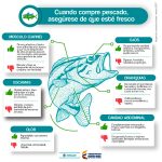 Prevenga enfermedades por consumo de pescados y mariscos