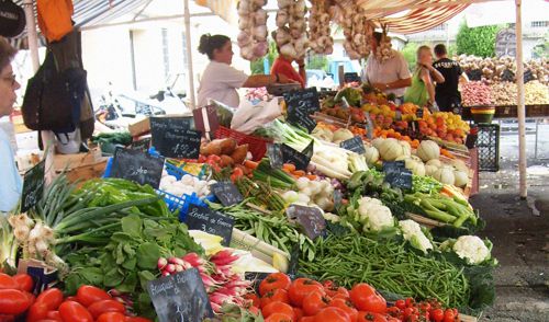 MODELOS-AGROECOLOGICOS-Y-AGRICULTURA-FAMILIAR.jpg