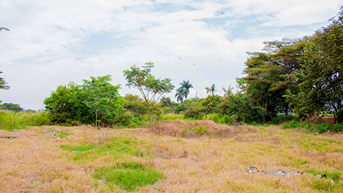 paisaje