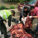 Carne de caballo se iba a distribuir en Popayán