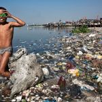 Día Mundial del Medio Ambiente