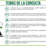 CONSULTA POPULISTA