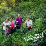 El sábado 08 de septiembre serán las ‘Elecciones Cafeteras’ en Cauca