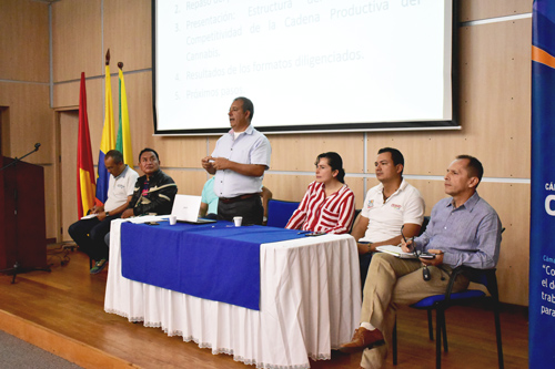 Constitución del Comité de Cadena del Cannabis en el Cauca