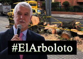 Peñalosa árboles