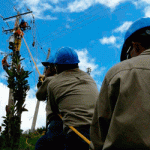 Argelia Cauca, Compañía Energética de Occidente