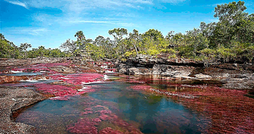 Caño-cristals