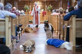 Perros en misa