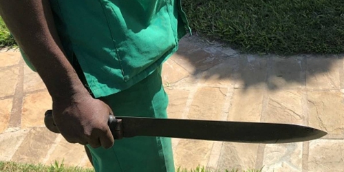 asesinato machete asesinato machete