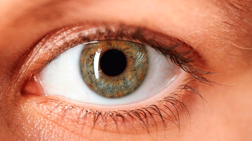 ojo-l ojo-l
