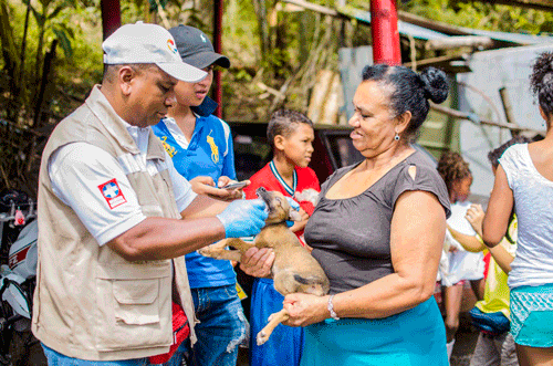 rabia-perros.gif