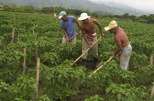 Campesinos-y-Empresarios.jpg