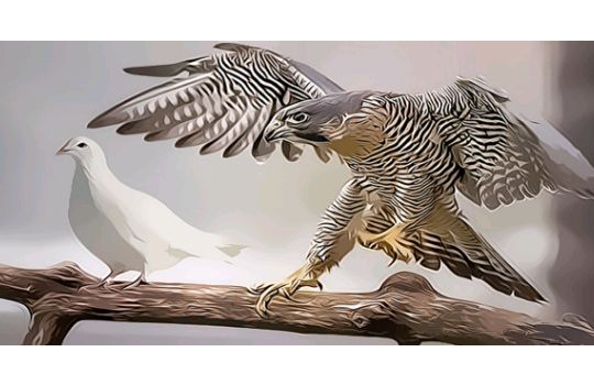 Llegó-diciembre-tonos-dovish-y-halcones.jpg