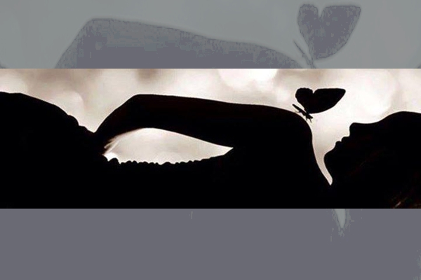 AMOR-DE-MARIPOSAS-2.jpg