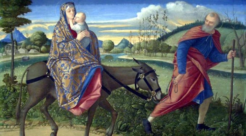 Apasionante-y-conmovedora-historia.jpg