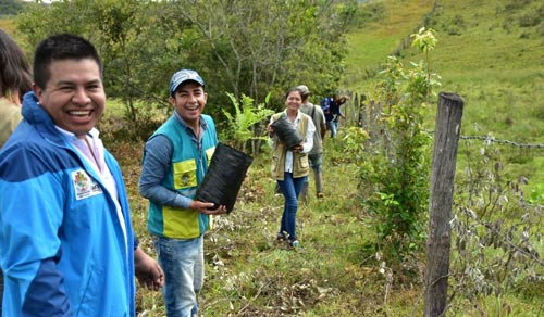 Caminos-de-Oportunidades.jpg